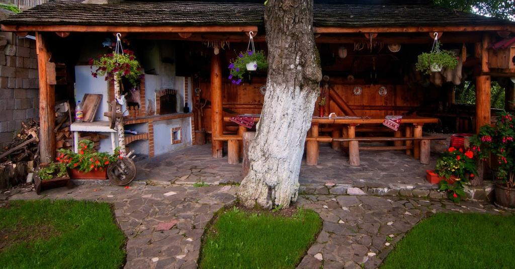 Pension Casa Contelui ริชนอฟ ภายนอก รูปภาพ
