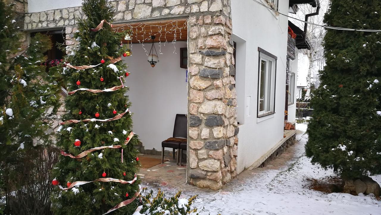 Pension Casa Contelui ริชนอฟ ภายนอก รูปภาพ